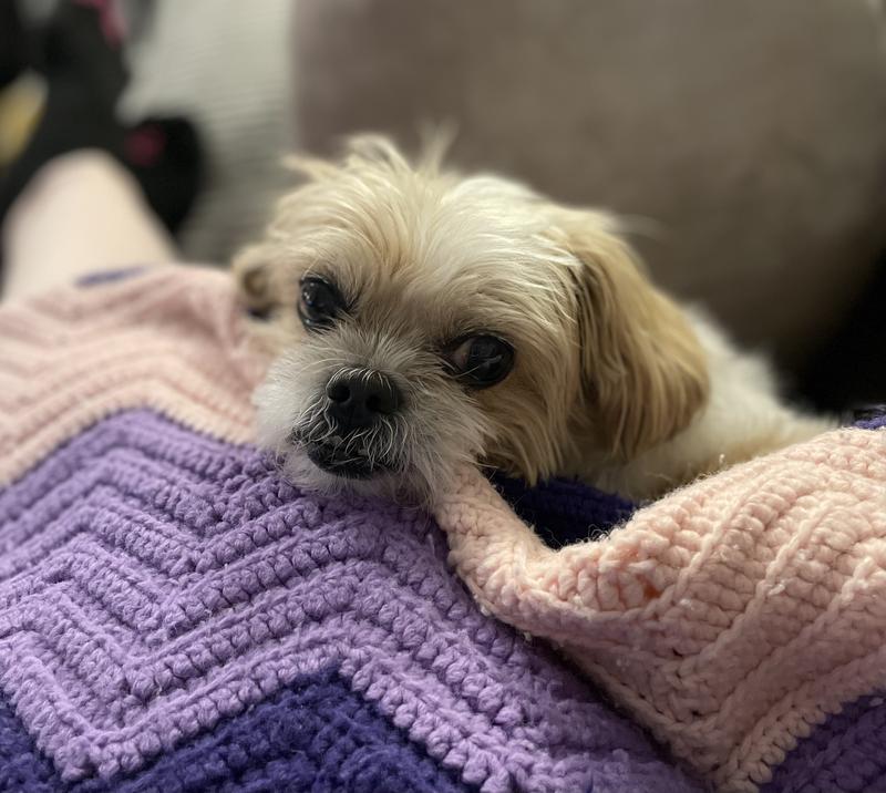 Finally able to stop pacing and relax