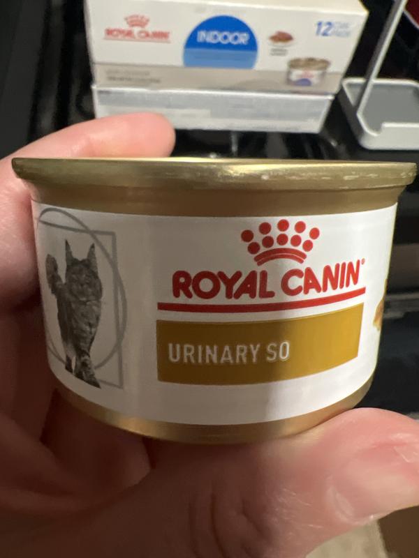 ROYAL CANIN VETERINARY DIET Adult Urinary SO Dry Cat Food, 17.6-lb bag -  Chewy.com