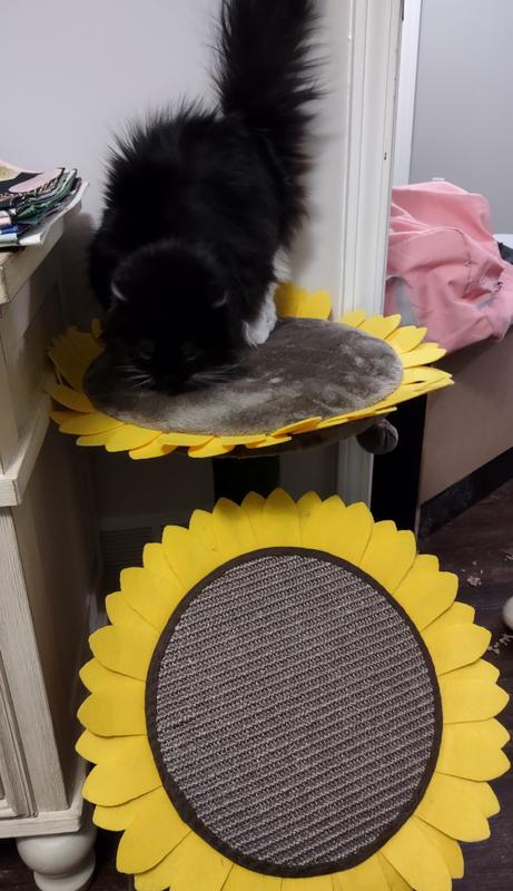 Frisco Sunflower Cat Scratching Post with a lounger