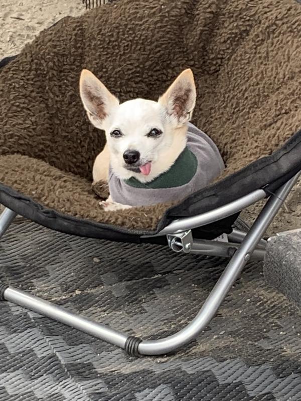 Living his best life