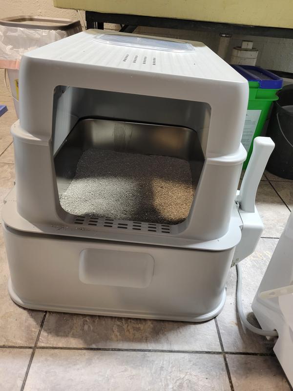 My cat used it on his own with fresh litter.