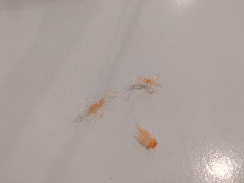 KONG Refillable Feather Top Carrot Catnip Cat Toy