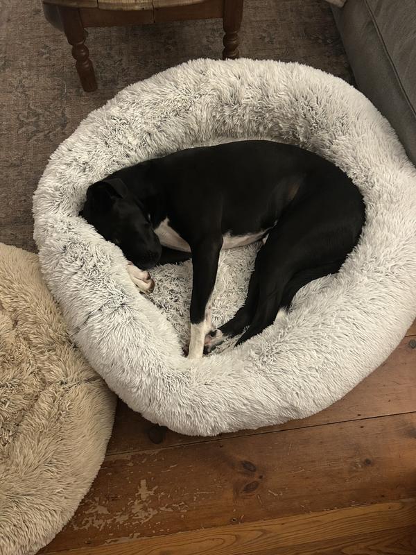 Snoozin