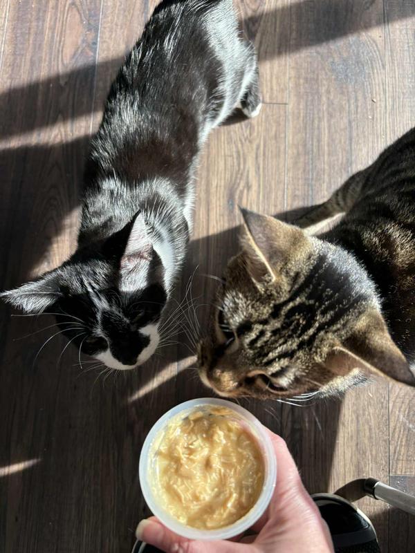 If Francis wants it, you better bet little Rue will be right behind him.