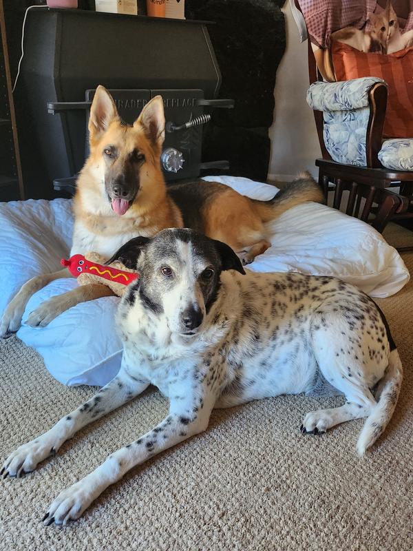 Two best buddies...