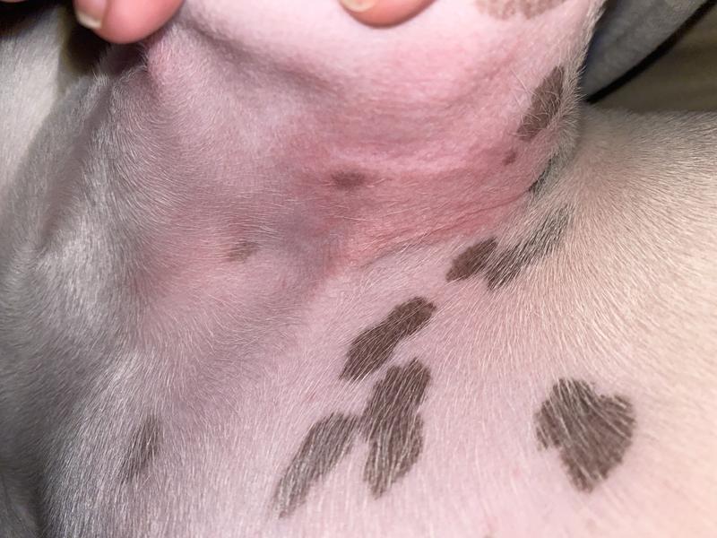 Rubbing caused irritation.