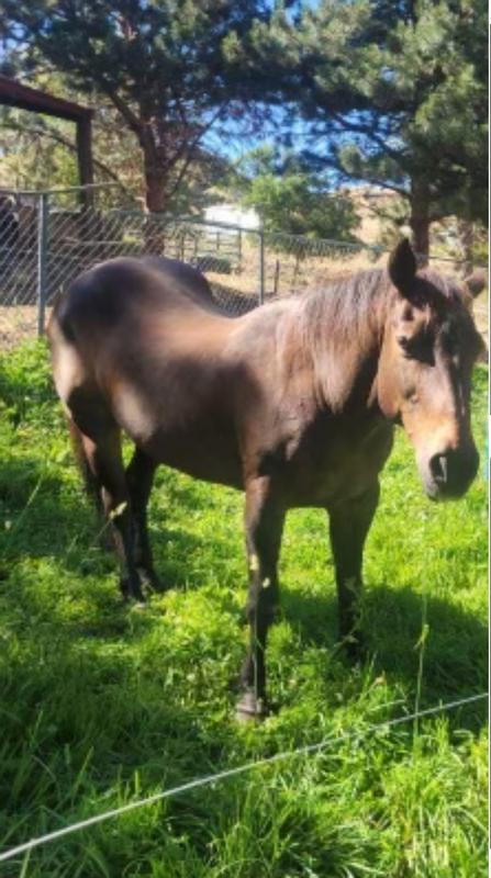 Peppy looking very happy