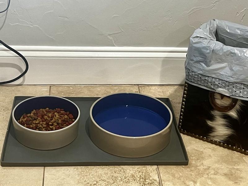 Leash Boss Spash Tall lip dog food mat paired with the wonderful stoneware crocks from Chewy