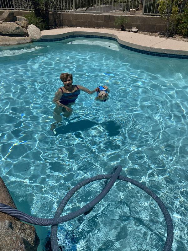 Maurice is 5 months old and in the pool for the first time in his life