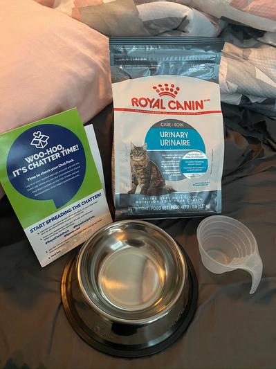 ROYAL CANIN Feline Care Nutrition Urinary Care Adult Dry Cat Food