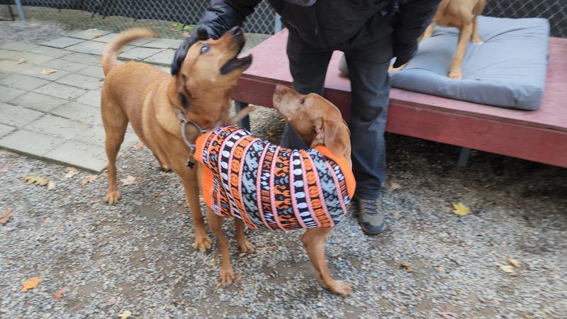 Toby at Camp with his friend Lily