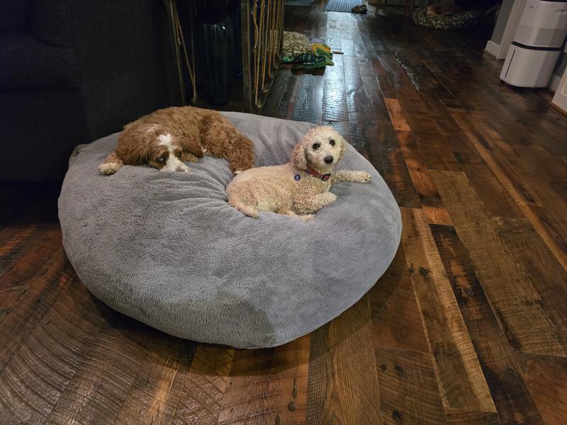 Max and Stella in the waiting room
