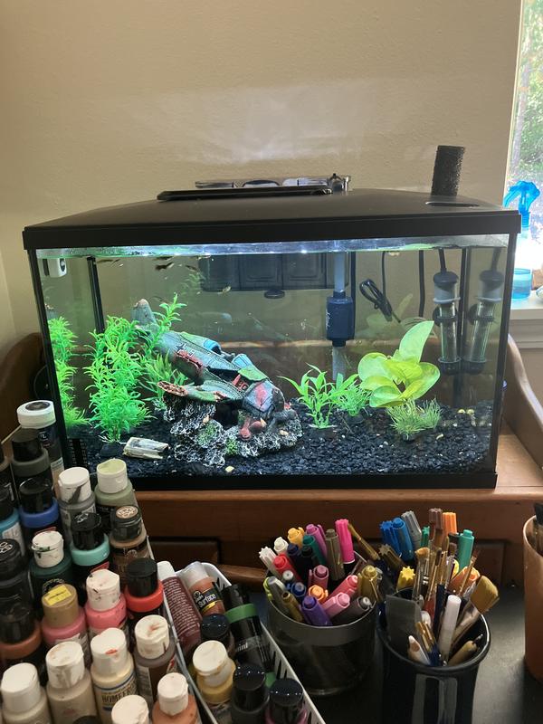 Perfect size set up real fast, it’s in my project room. I like to see if you can watch the fish sometimes while I’m doing projects.