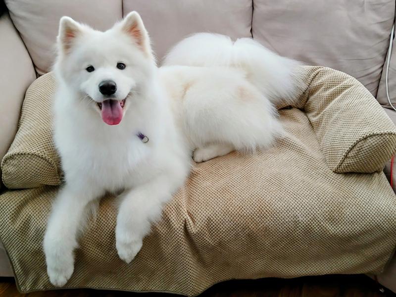 Plenty of space, she loves it!