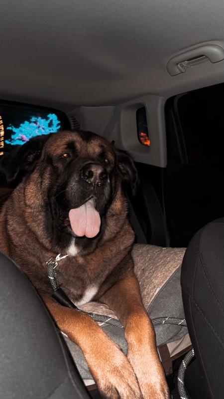 Can I have my supper now?