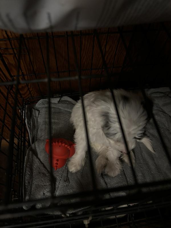 I used it in their cages as I was trying to crate train them. It would give them something to do.