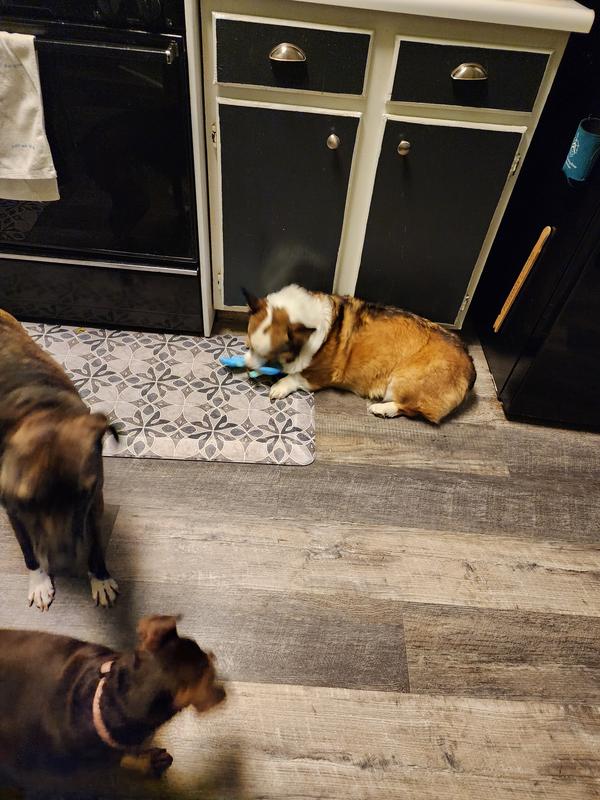 Once Hoshi got a turn, it was all hers