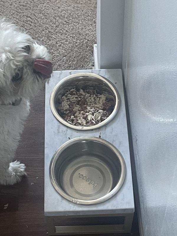 Frisco Marble Print Stainless Steel Double Elevated Dog Bowl