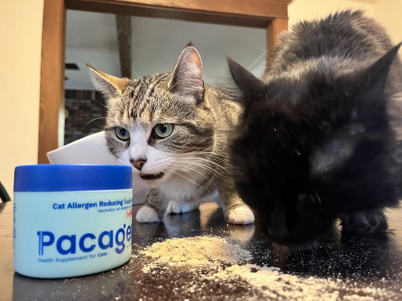 PACAGEN Salmon Flavored Powder Allergen Reducing Supplement for Cats, 2 ...