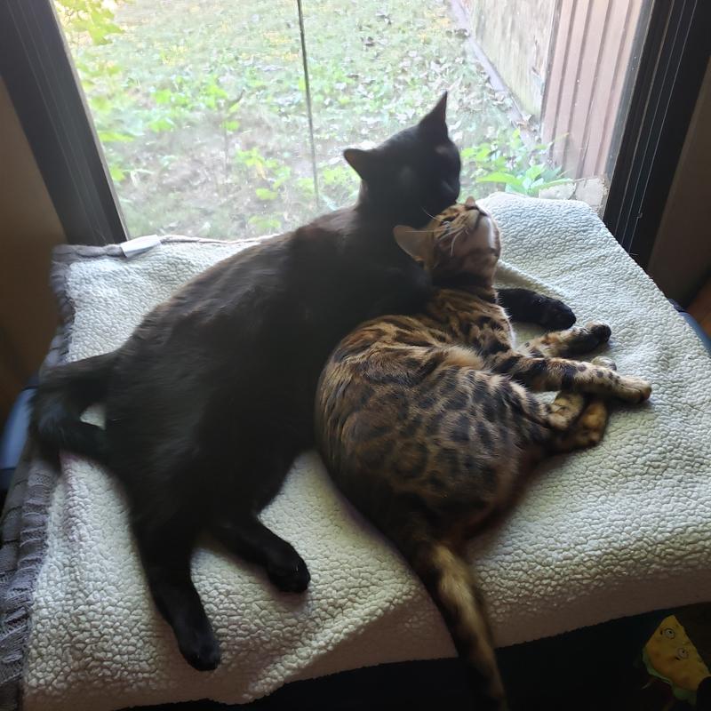 My boy and his baby sister <3
