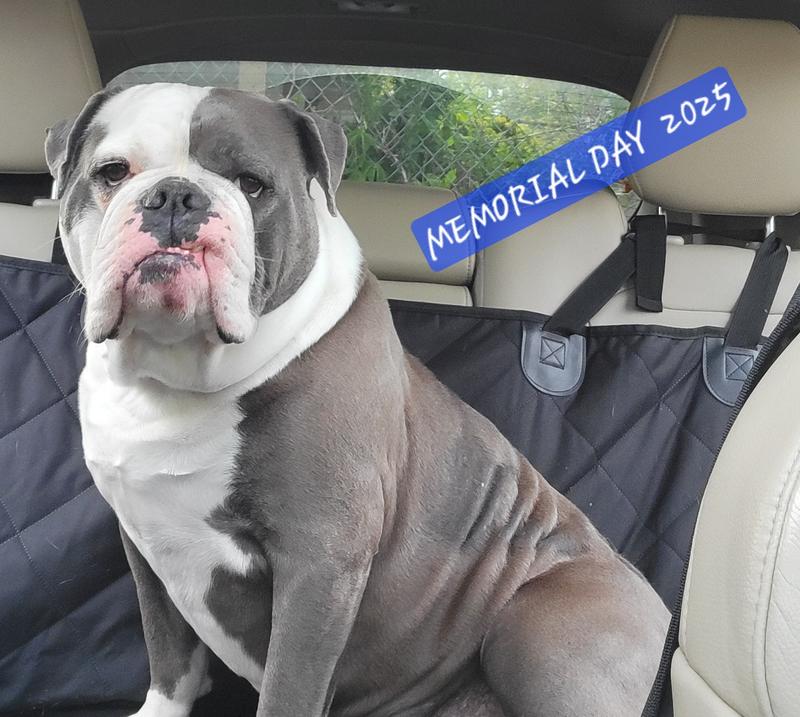 Memorial Day weekend