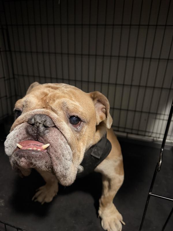 this was after 4 days of use