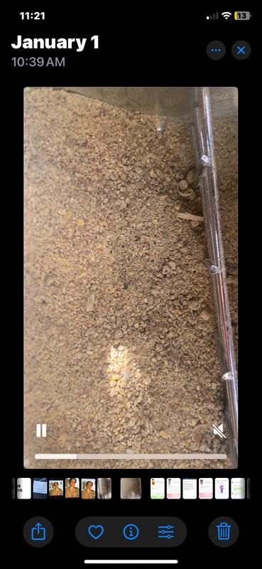 This brand is a waste of money