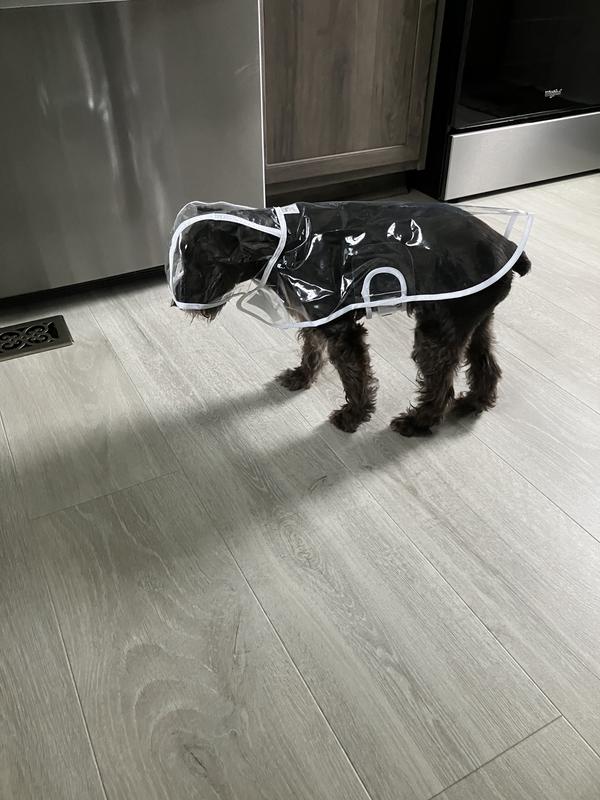 FRISCO Lightweight Clear Vinyl Dog Raincoat, XXLarge