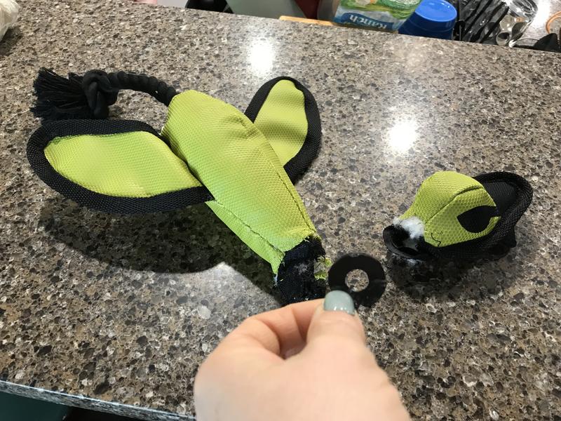 1 of 2 plastic washers that fell out when the head was torn off