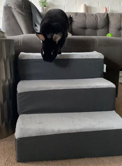 Zinus easy best sale pet stairs