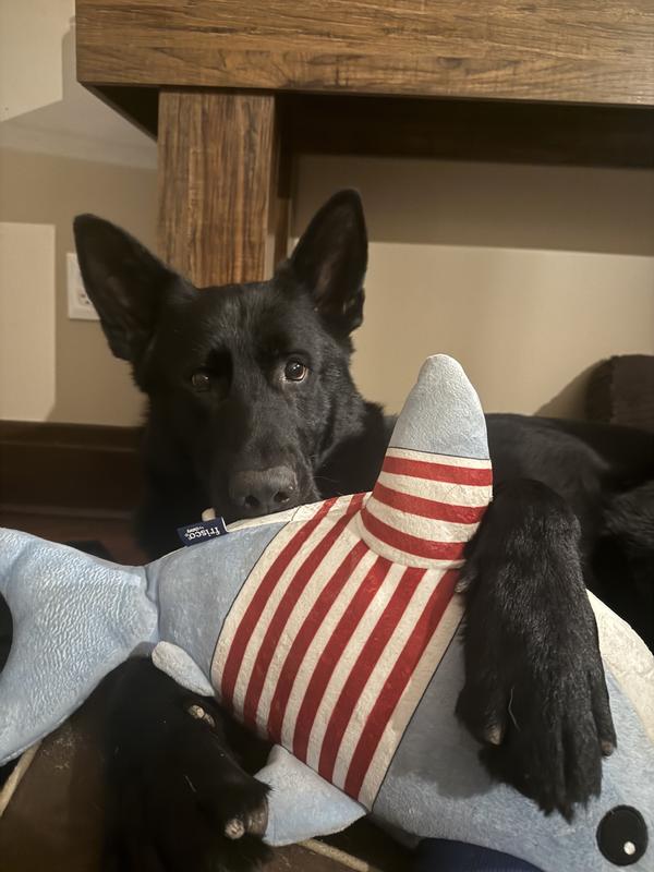 “hello, dis my friend”