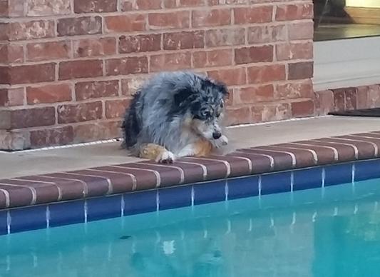Let's go for a swim!