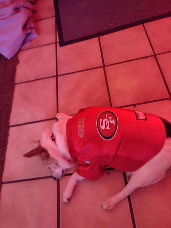 San Francisco 49ers NFL Dog Jersey - Small