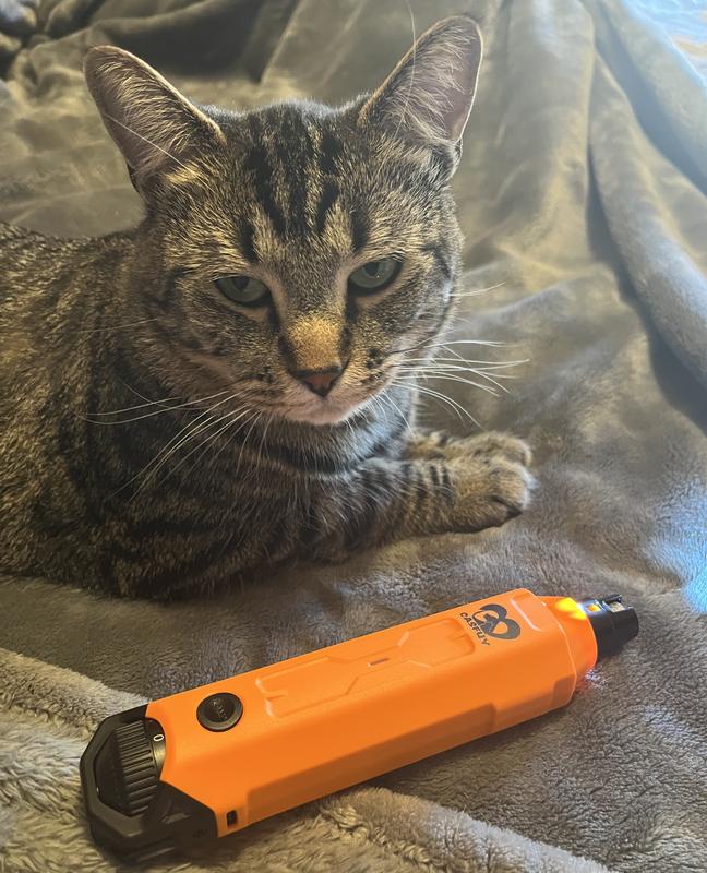 Preston loves his new nail grinder he’s smiling on the inside! 😸