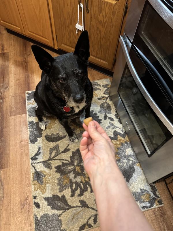 She loves the peanut butter ones so much she stays focused on it until I toss it to her.