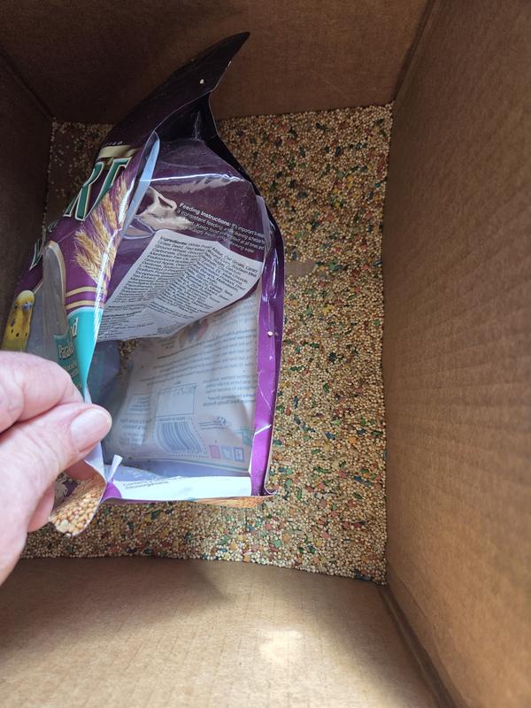 Seeds everywhere except for the bag!