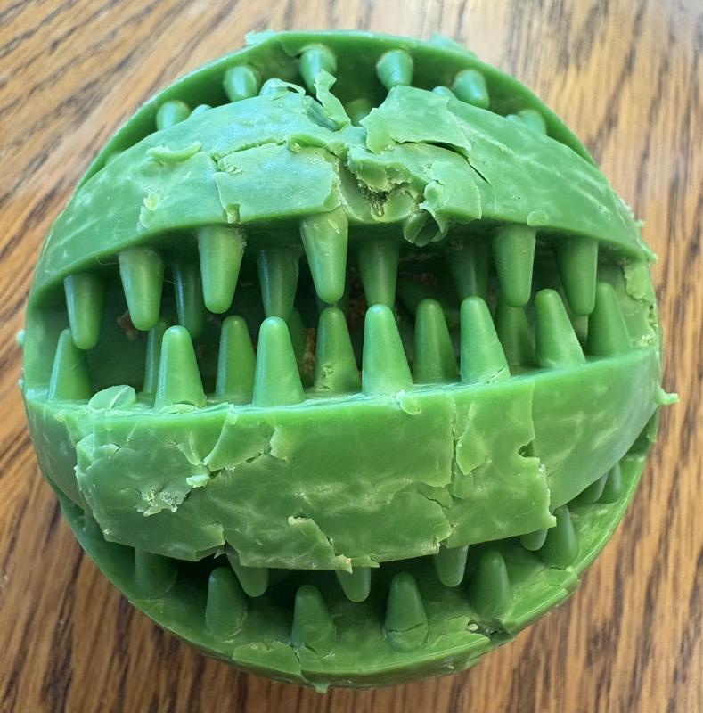 Destroyed by a Lhasa