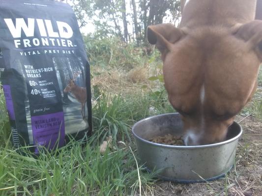 Wild frontier dog outlet food rating