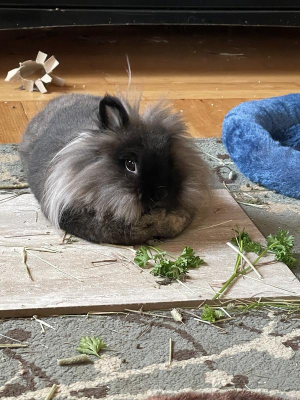 Evelyn is thankful for the addition of these supplements