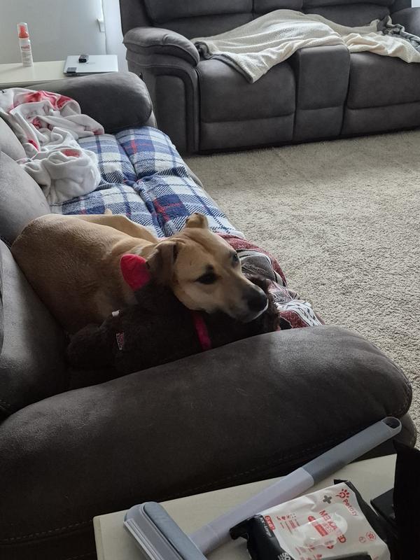 Lana resting with her bear