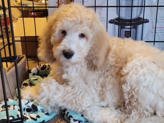 Big Boy Oakley all dry! Hey, that was quick!