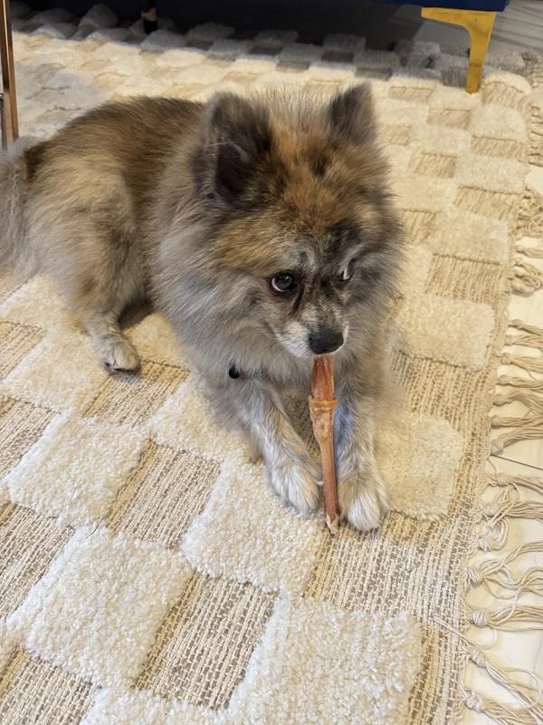 Mariano’s new favorite!