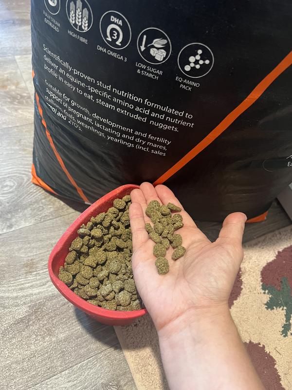 Extruded nugget feed