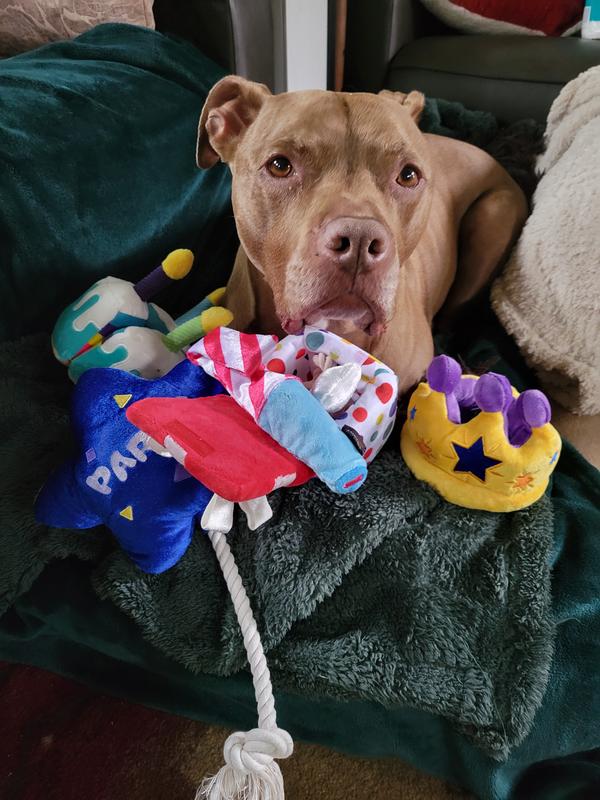 Happy Birthday Ryder!!