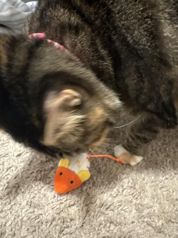 Hard to take a picture when she’s all excited