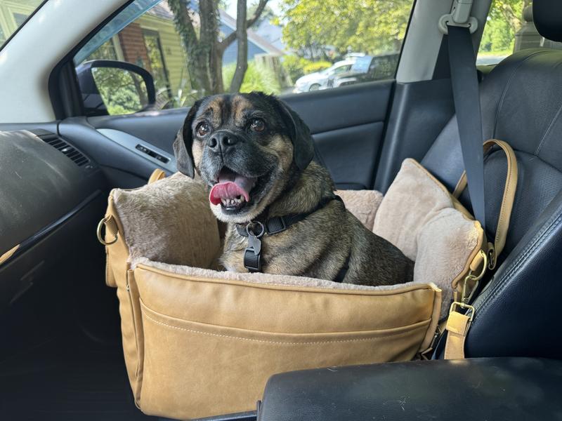 Hank loves his new car seat!
