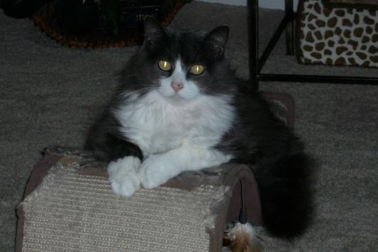 K.C. she is 15 years old