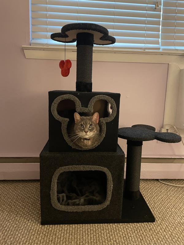 39.4 Daviston Disney Cubical Cat Condo with Lounging Towers Sisal Scratching Posts and Swatting Toys – Bring The Magic of Disney Into Your Home Cat T