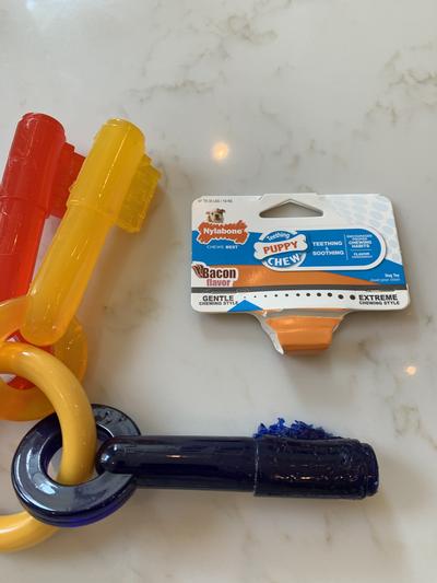 Nylabone keys clearance large