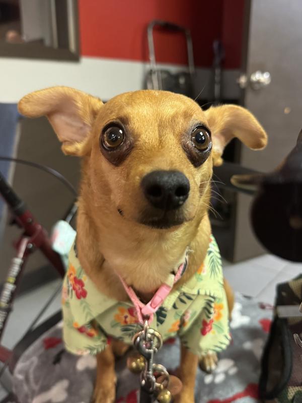 I’ve got my Mom and Sissy exactly where I want them LOL❣️